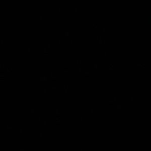 Meet your Posher, Rudy